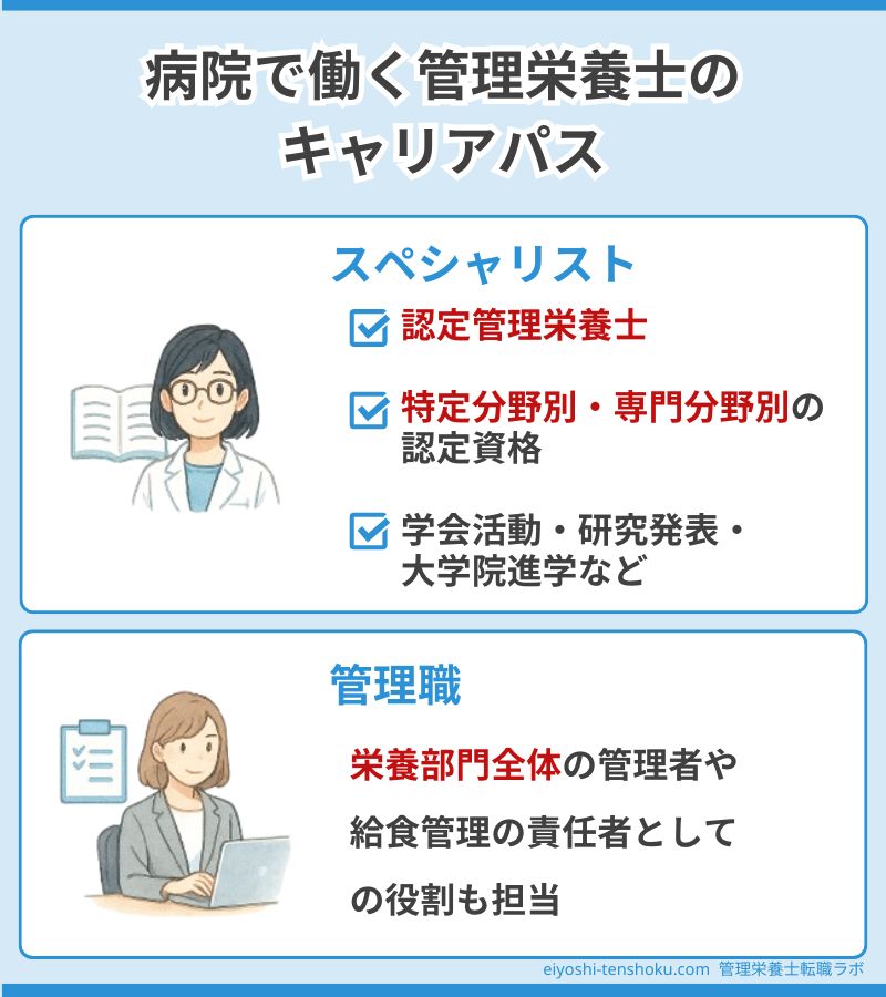 病院で働く管理栄養士のキャリアパス
